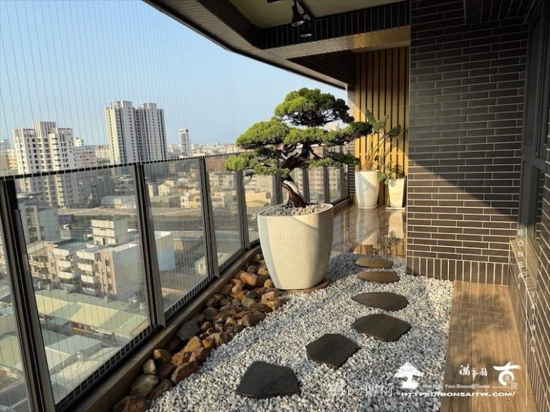 img 9360 1 [我們的作品]露台植栽-案0514 盆栽(Bonsai)