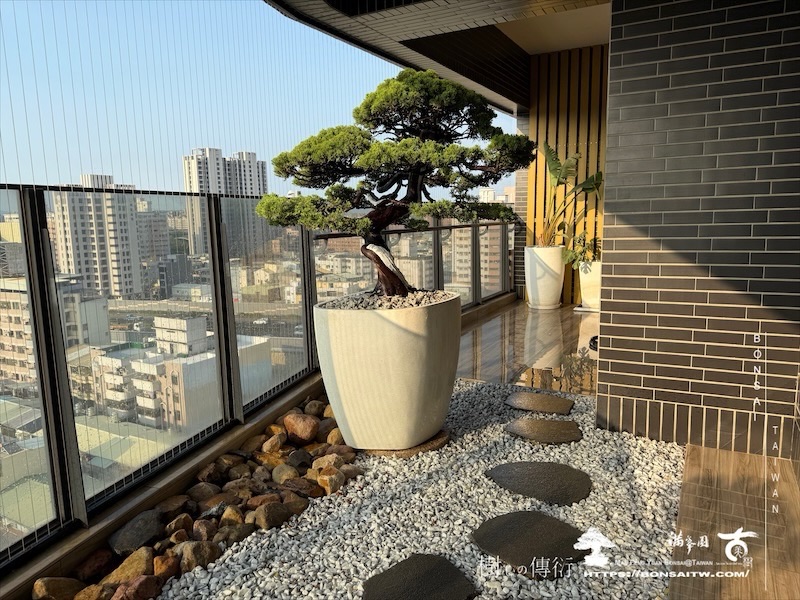 img 9361 1 [我們的作品]露台植栽-案0514 盆栽(Bonsai)