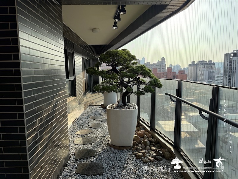img 9362 1 [我們的作品]露台植栽-案0514 盆栽(Bonsai)