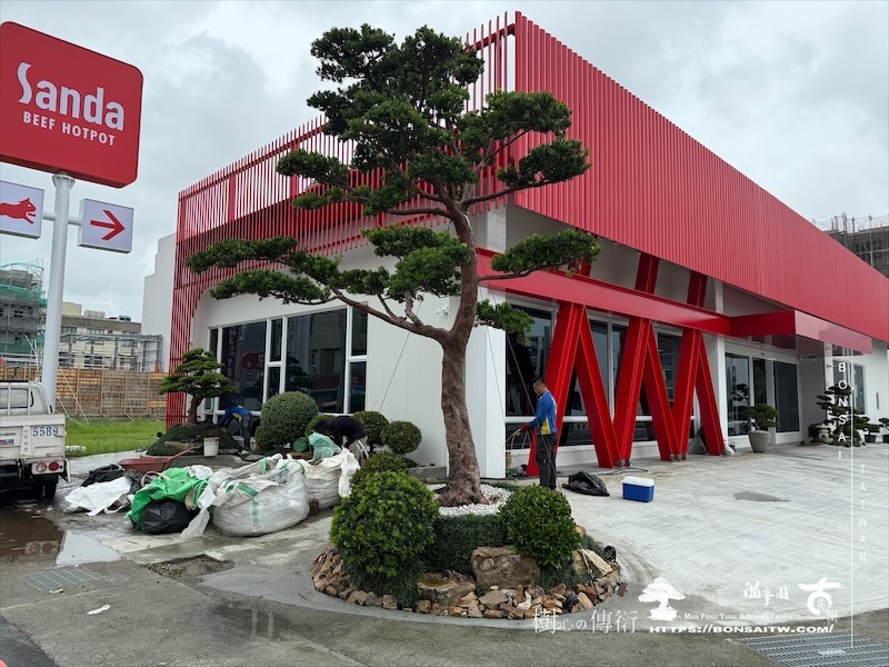 img 2401 1 [我們的作品]商業空間景觀規劃施工-案0630-1 大型庭園樹專區(Garden Tree)