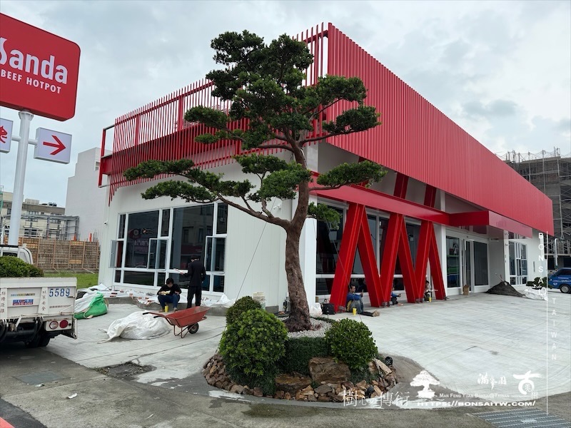 img 2402 1 [我們的作品]商業空間景觀規劃施工-案0630-1 大型庭園樹專區(Garden Tree)