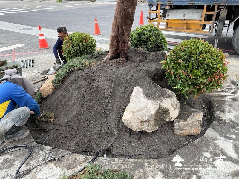 img 2406 1 [我們的作品]商業空間景觀規劃施工-案0630-1 大型庭園樹專區(Garden Tree)