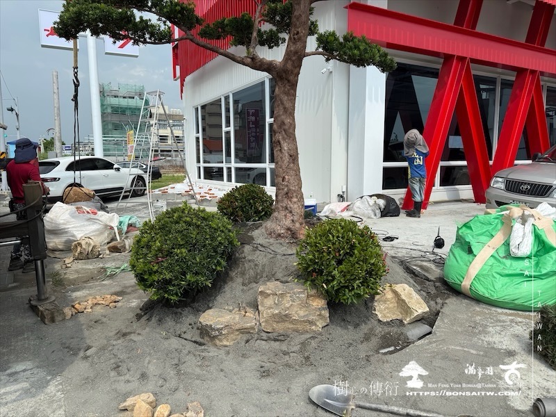 img 2408 1 [我們的作品]商業空間景觀規劃施工-案0630-1 大型庭園樹專區(Garden Tree)