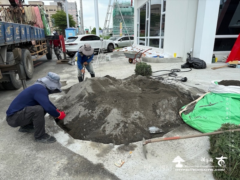 img 2426 1 [我們的作品]商業空間景觀規劃施工-案0630-1 大型庭園樹專區(Garden Tree)