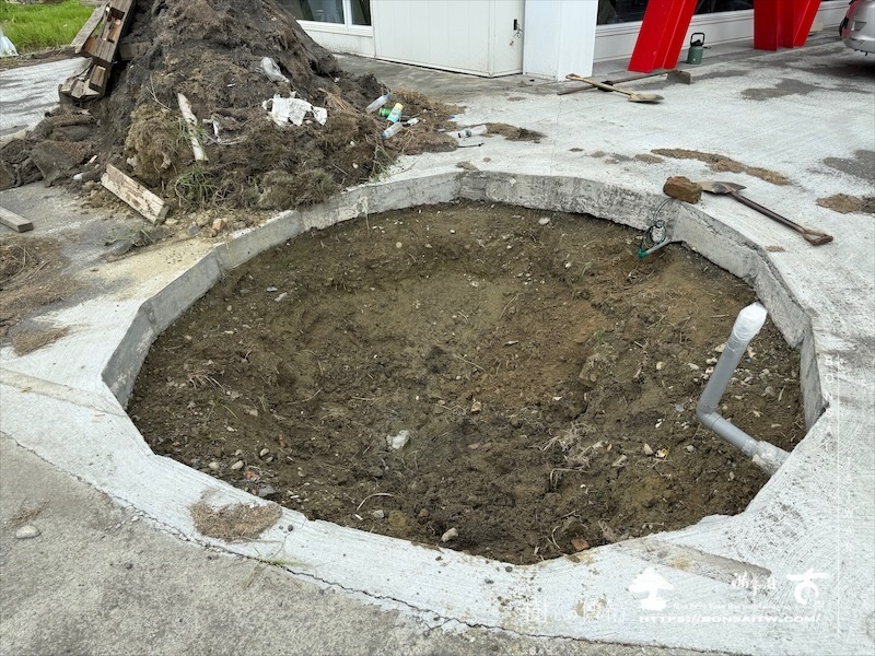 img 2427 1 [我們的作品]商業空間景觀規劃施工-案0630-1 大型庭園樹專區(Garden Tree)