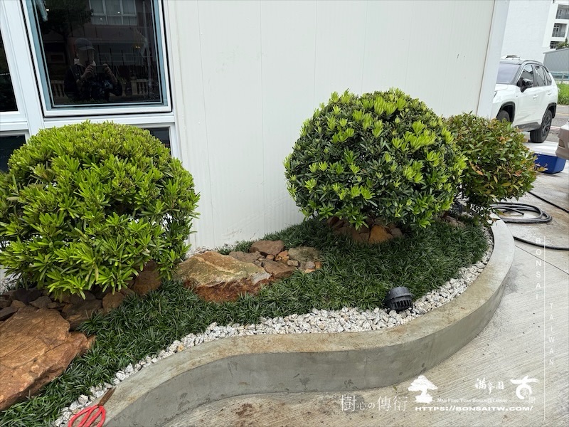 img 2471 1 [我們的作品]商業空間景觀規劃施工-案0630-2 商業空間