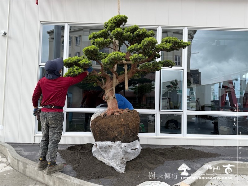 img 2478 1 [我們的作品]商業空間景觀規劃施工-案0630-2 商業空間