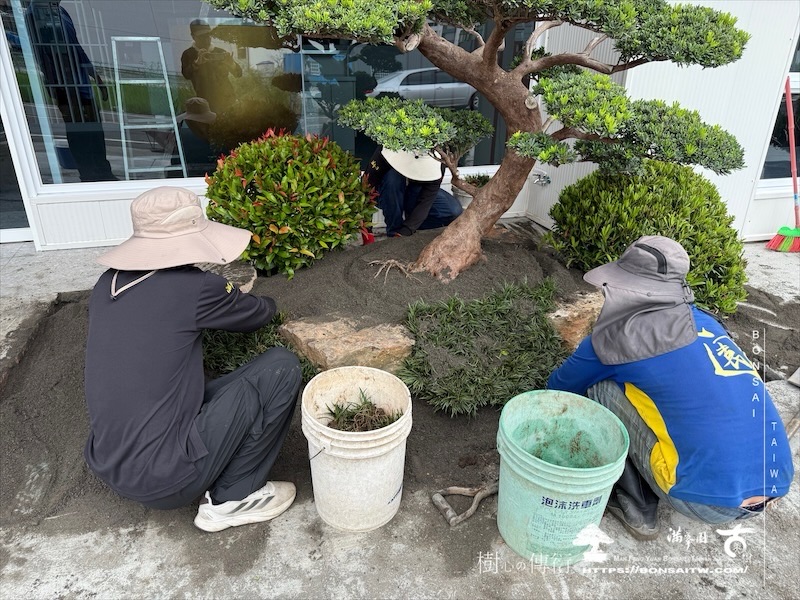 img 2520 1 [我們的作品]商業空間景觀規劃施工-案0630-3 商業空間