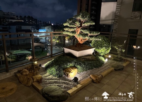 img 4389 [我們的作品]景觀規劃施工-案0724 盆栽(Bonsai)