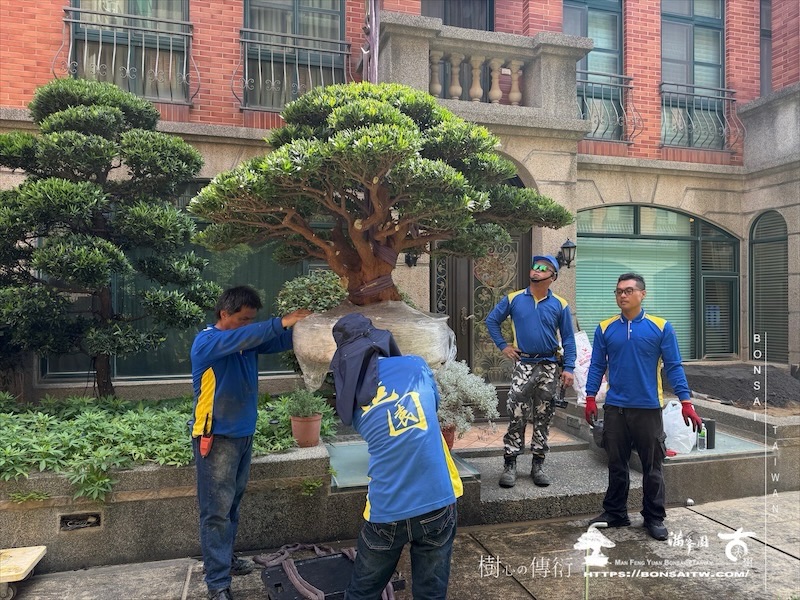 img 5517 [我們的作品]景觀規劃施工-案0802 客戶案例