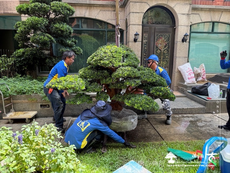 img 5520 [我們的作品]景觀規劃施工-案0802 客戶案例