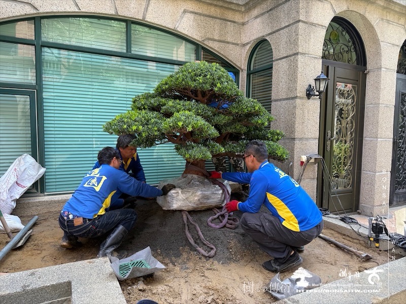 img 5522 [我們的作品]景觀規劃施工-案0802 客戶案例