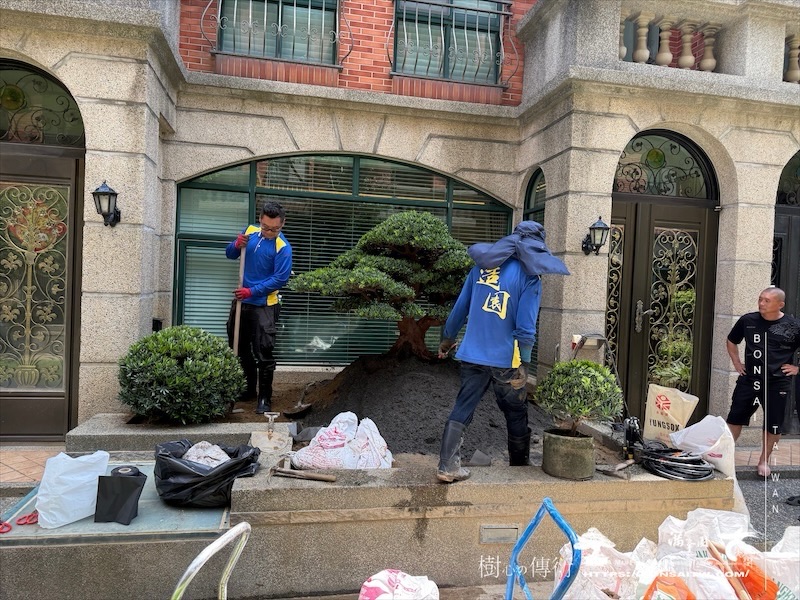 img 5524 [我們的作品]景觀規劃施工-案0802 客戶案例