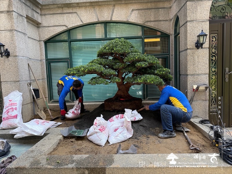 img 5525 [我們的作品]景觀規劃施工-案0802 客戶案例