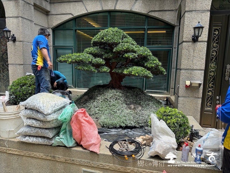 img 5529 [我們的作品]景觀規劃施工-案0802 客戶案例