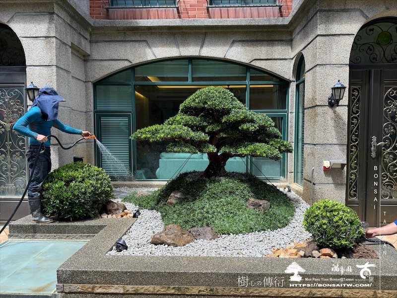 img 5534 [我們的作品]景觀規劃施工-案0802 客戶案例