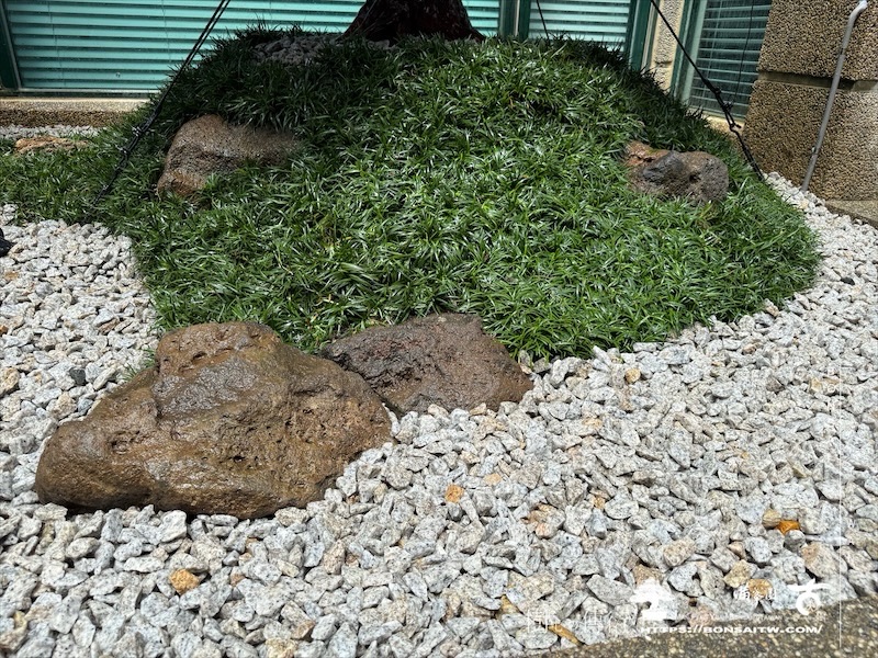 img 5536 [我們的作品]景觀規劃施工-案0802 客戶案例