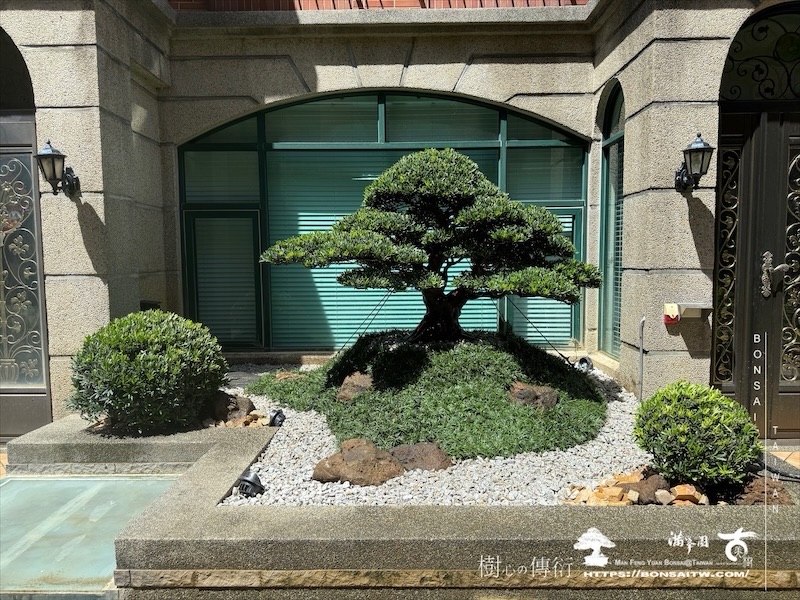 img 5539 [我們的作品]景觀規劃施工-案0802 客戶案例