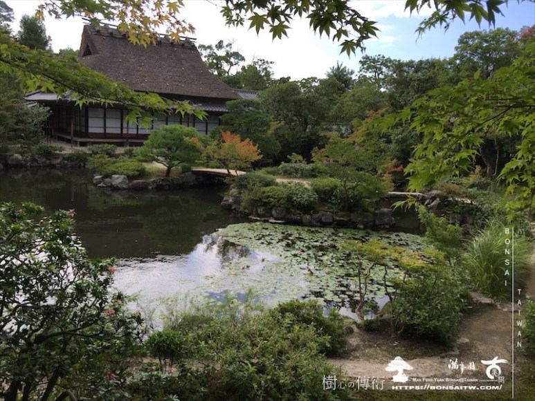 img 7794 [日本庭園]依水園．奈良