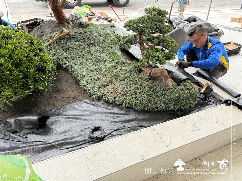 img 8711 [我們的作品]商業空間景觀規劃施工-案0827 客戶案例