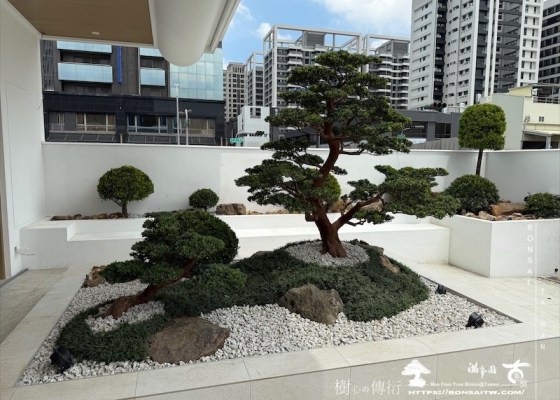 img 8776 [我們的作品]商業空間景觀規劃施工-案0827 露台造景