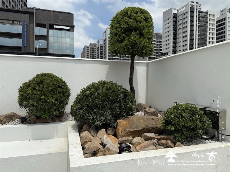 img 8782 [我們的作品]商業空間景觀規劃施工-案0827 客戶案例