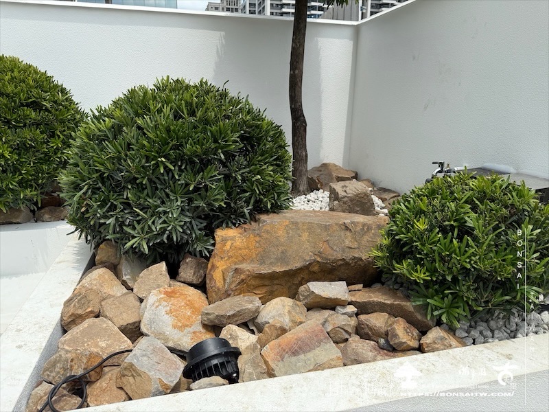 img 8783 [我們的作品]商業空間景觀規劃施工-案0827 客戶案例