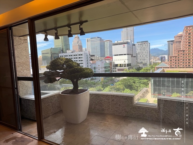 img 1160 [我們的作品]露台景觀-案0916 盆栽(Bonsai)