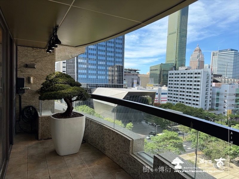 img 1162 [我們的作品]露台景觀-案0916 盆栽(Bonsai)