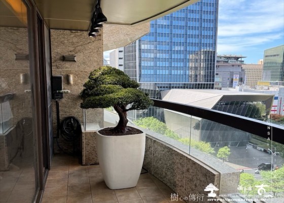 img 1163 [我們的作品]露台景觀-案0916 盆栽(Bonsai)