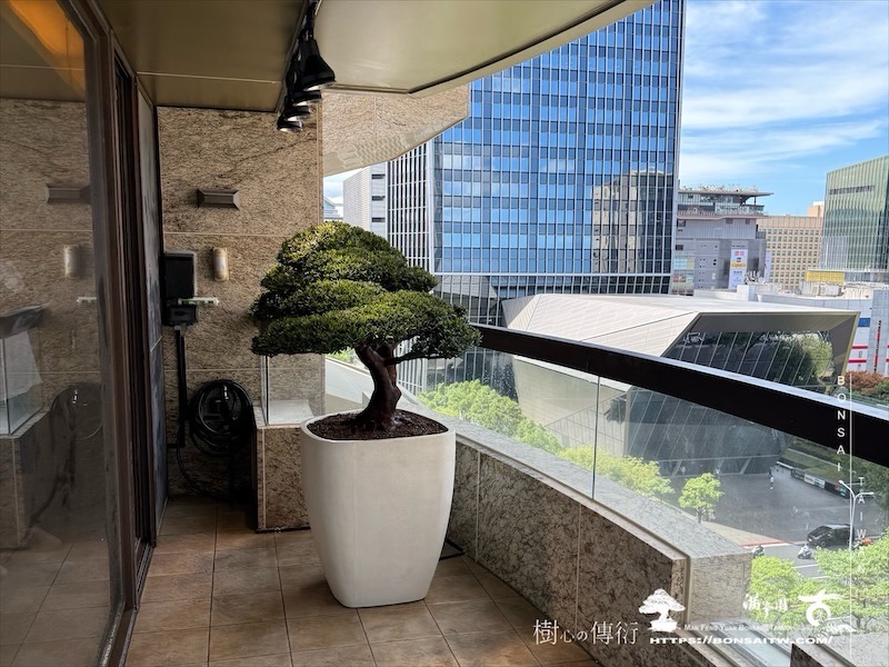 img 1163 [我們的作品]露台景觀-案0916 盆栽(Bonsai)