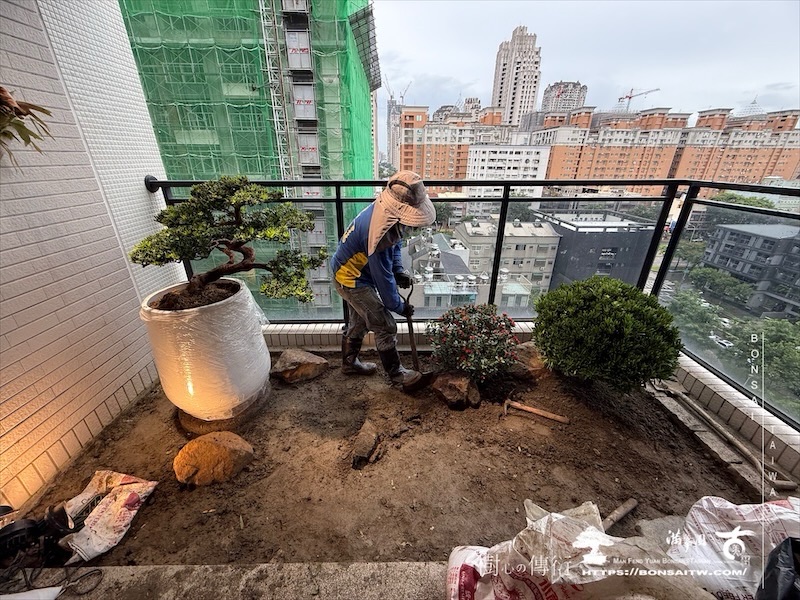 img 1202 [我們的作品]露台景觀設計-案0923 盆栽(Bonsai)