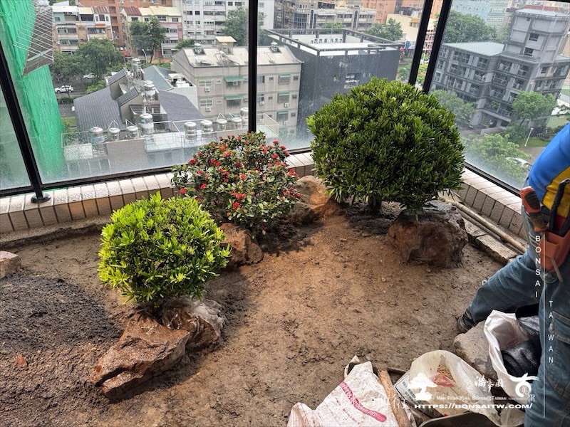 img 1203 [我們的作品]露台景觀設計-案0923 盆栽(Bonsai)