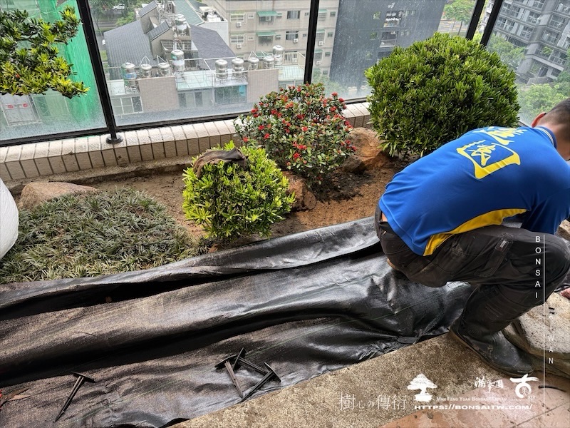 img 1205 [我們的作品]露台景觀設計-案0923 盆栽(Bonsai)
