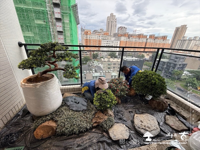 img 1208 [我們的作品]露台景觀設計-案0923 盆栽(Bonsai)