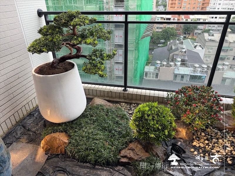 img 1210 [我們的作品]露台景觀設計-案0923 盆栽(Bonsai)