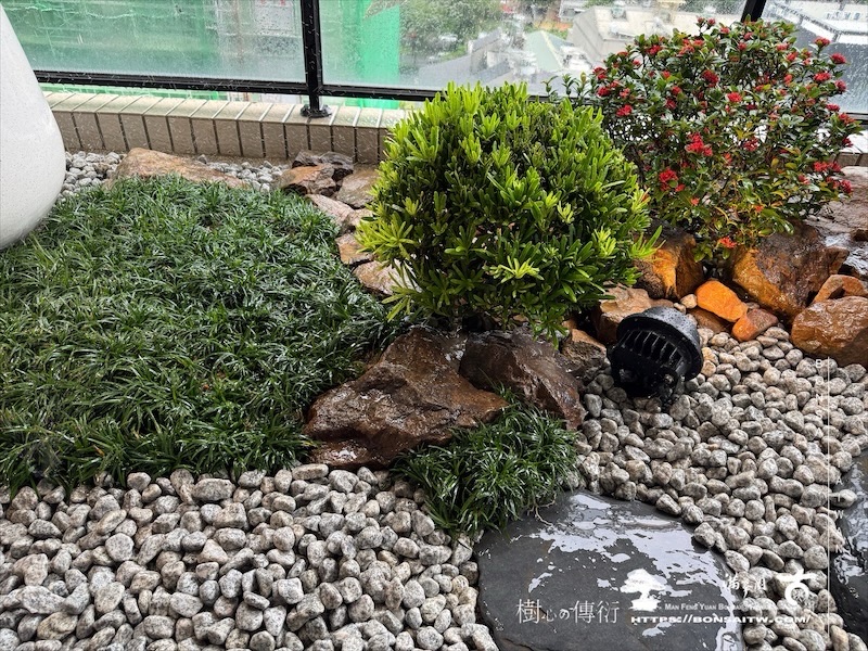 img 1215 [我們的作品]露台景觀設計-案0923 盆栽(Bonsai)