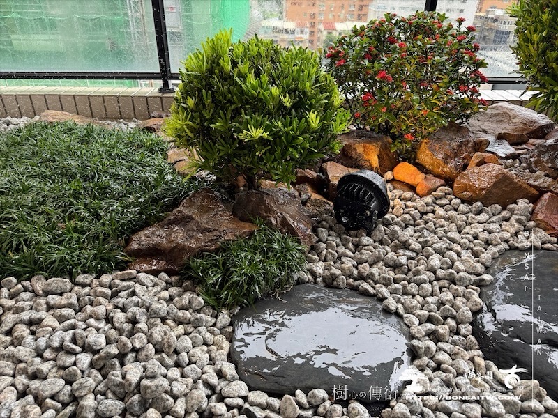 img 1216 [我們的作品]露台景觀設計-案0923 盆栽(Bonsai)