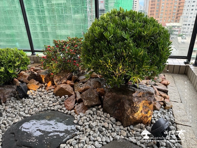 img 1218 [我們的作品]露台景觀設計-案0923 盆栽(Bonsai)