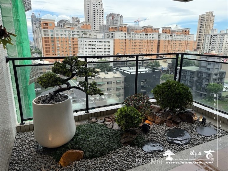 img 1223 [我們的作品]露台景觀設計-案0923 盆栽(Bonsai)