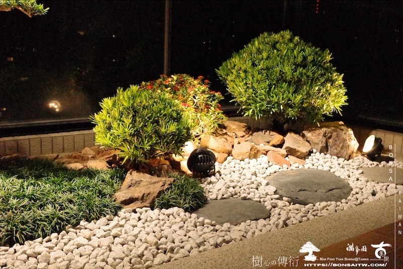 img 1229 [我們的作品]露台景觀設計-案0923 盆栽(Bonsai)