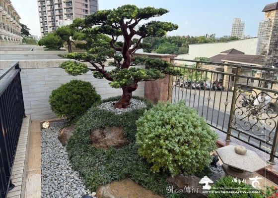 img 1489 2 [我們的作品]露台景觀設計-案0925 露台造景