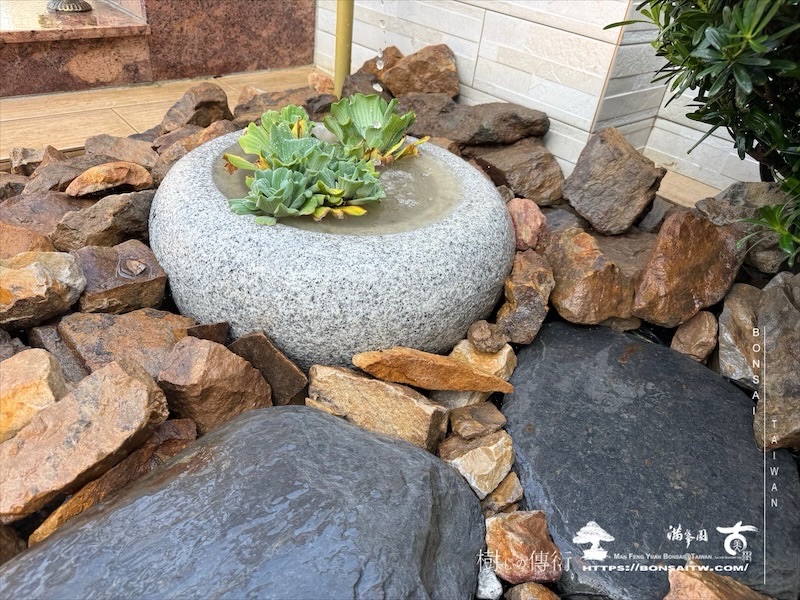 img 1490 [我們的作品]露台景觀設計-案0925 露台造景