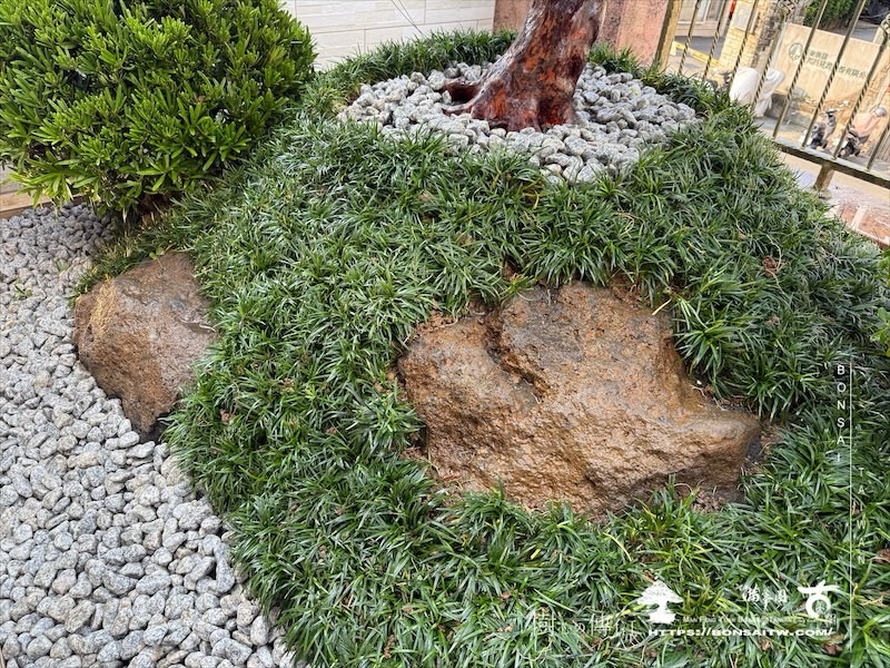 img 1492 [我們的作品]露台景觀設計-案0925 露台造景