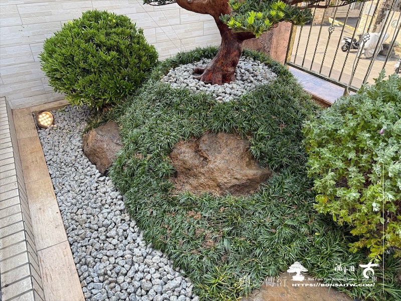 img 1494 [我們的作品]露台景觀設計-案0925 露台造景