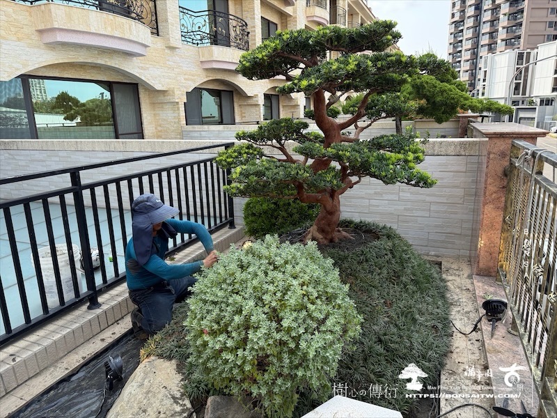 img 1496 [我們的作品]露台景觀設計-案0925 露台造景