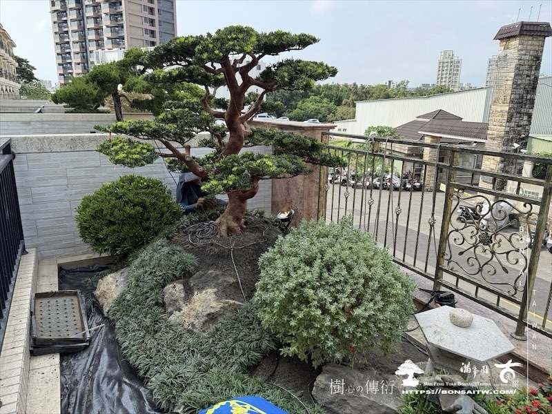 img 1497 1 [我們的作品]露台景觀設計-案0925 露台造景