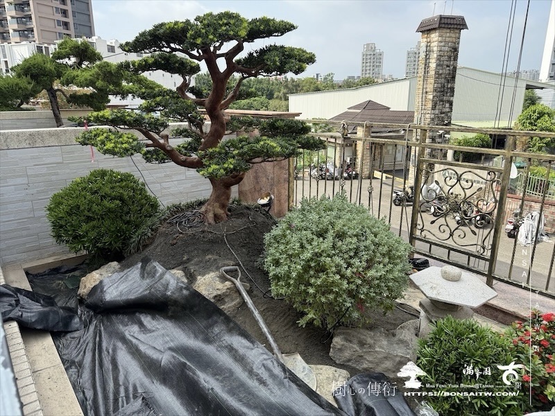 img 1498 1 [我們的作品]露台景觀設計-案0925 露台造景