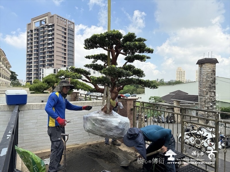 img 1503 1 [我們的作品]露台景觀設計-案0925 露台造景