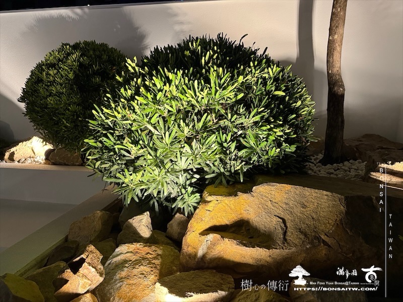 img 9799 [我們的作品]商業空間景觀規劃施工-案0827 客戶案例